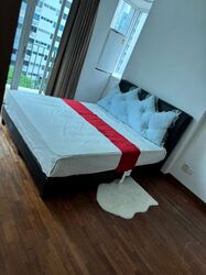 Papillon (D12), Apartment #441165031